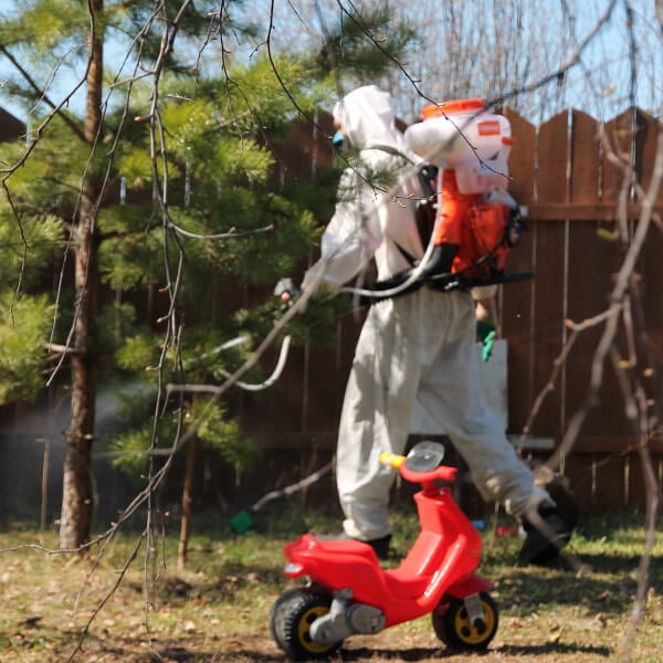 Обработка участка от клещей в Шымкенте?